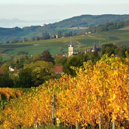 Gite Le Douglas, Vignoble Et Reculees Du Jura - Avec Sauna Lavigny 外观 照片