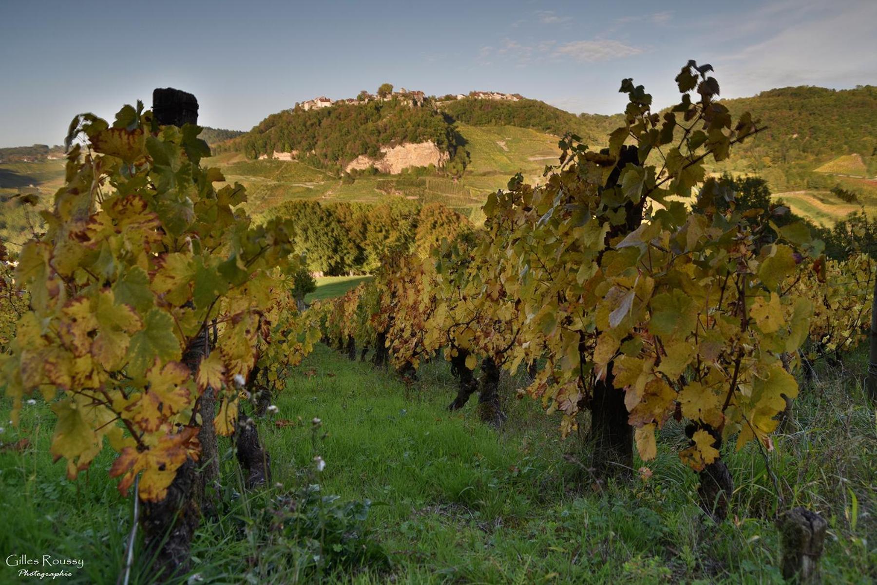 Gite Le Douglas, Vignoble Et Reculees Du Jura - Avec Sauna Lavigny 外观 照片