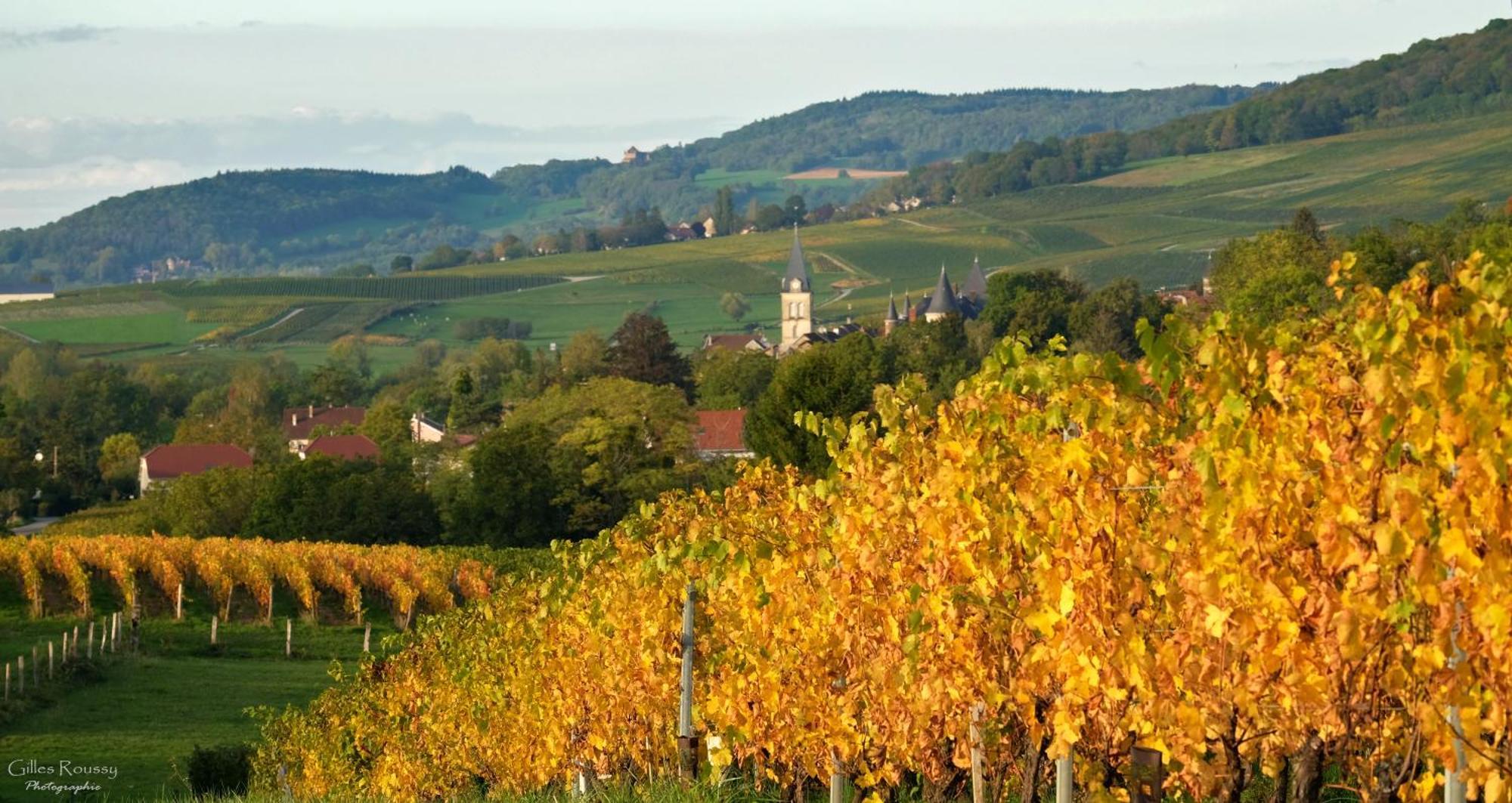 Gite Le Douglas, Vignoble Et Reculees Du Jura - Avec Sauna Lavigny 外观 照片